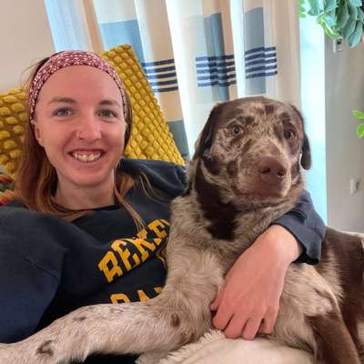 Hundetreffen-Hunde & Freundschaften-Bild