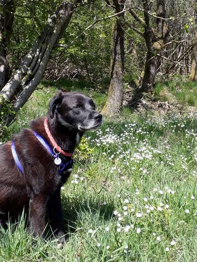 Bardino-Beitrag-Bild