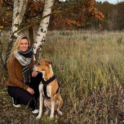 Hundeschulen-Hundetrainerin Franziska Mollenhauer-Bild