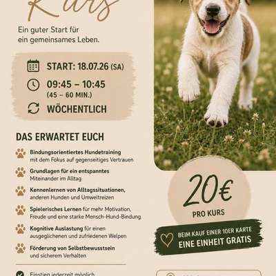 Giftköder-Welpenkurs-Bild