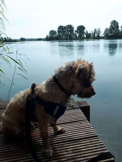 Dogorama Photo Challenge - Brücken-Beitrag-Bild