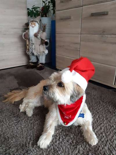 It's beginning to look a lot like.....-Beitrag-Bild