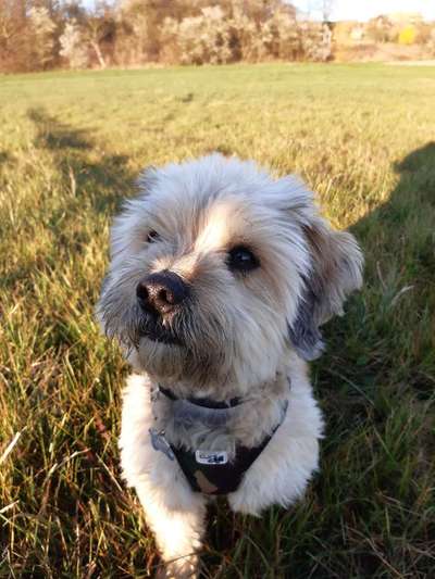 Fotowettbewerb Natur-Beitrag-Bild