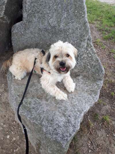 Dogorama Photo Challenge - Steine/Felsen-Beitrag-Bild