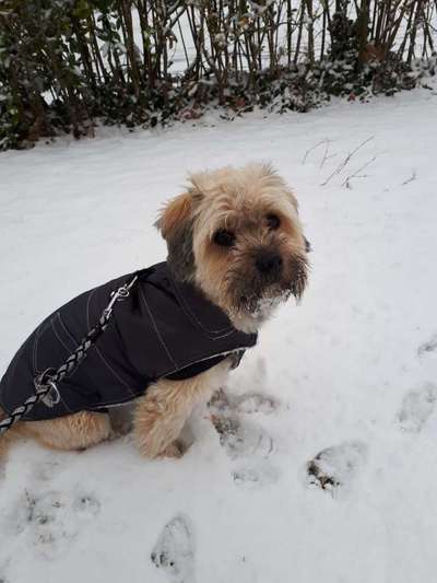 Fotochallenge 61 ~ Schnee-Beitrag-Bild