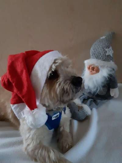 It's beginning to look a lot like.....-Beitrag-Bild