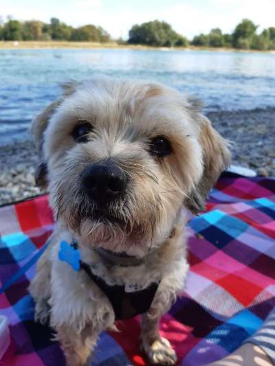 Doppelgänger gesucht !-Beitrag-Bild