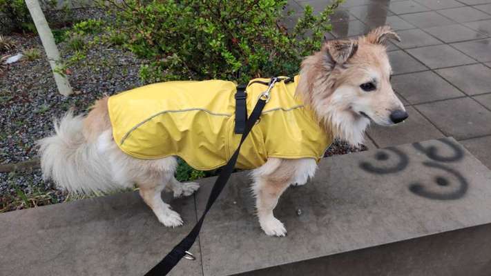 Pullis, Jacken, Hütte und alles sonstiges-Beitrag-Bild