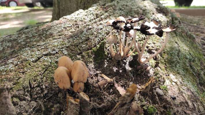 Die wunderschöne Welt mit Hund.-Beitrag-Bild