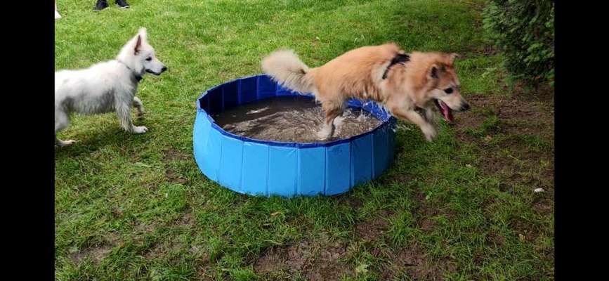 Fotochallenge Nr. 52 „Spring!“-Beitrag-Bild