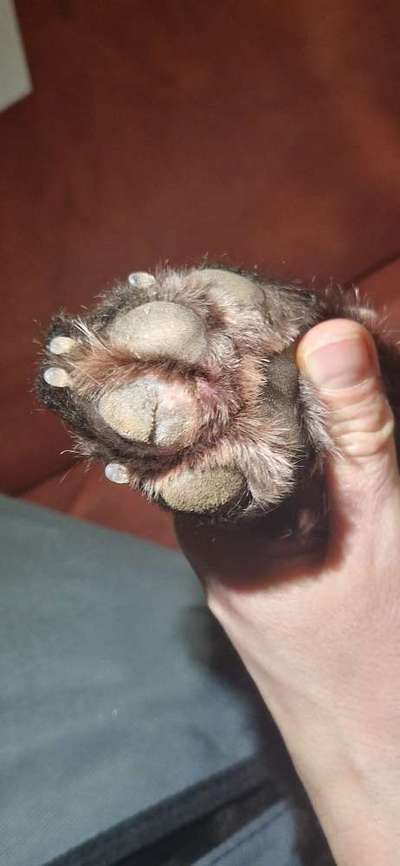 Obere Schicht an Ballen-Beitrag-Bild