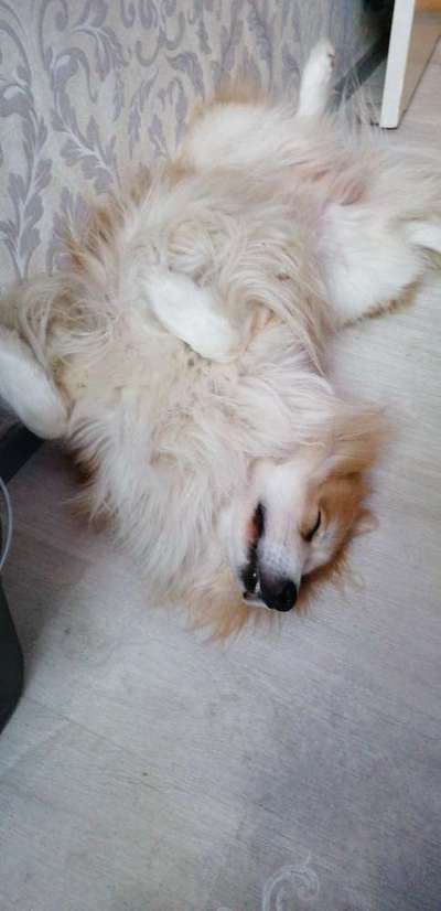 Die unbequemsten und lustigsten Schlafpositionen-Beitrag-Bild