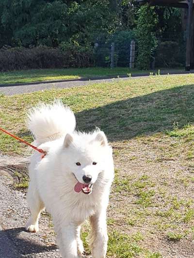 Das beste grinsefoto-Beitrag-Bild