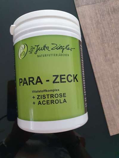 Samojede-Beitrag-Bild