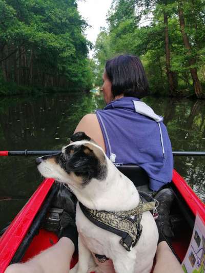 Fotochallenge 37- Sommerfeeling-Beitrag-Bild