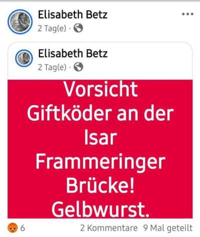 Giftköder-Giftköder mit Gelbwurst-Bild