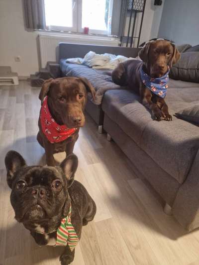 Urlaub in den Bergen-Beitrag-Bild