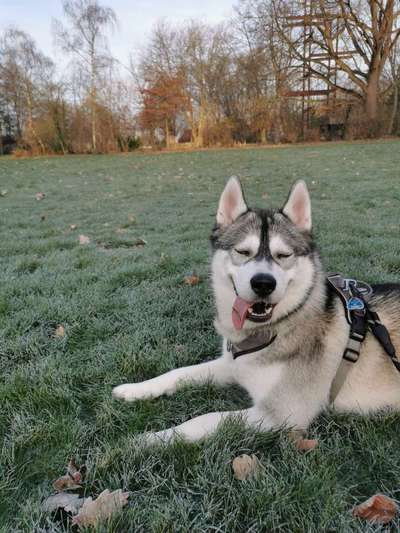 Fotochallenge Nr.122-Beitrag-Bild