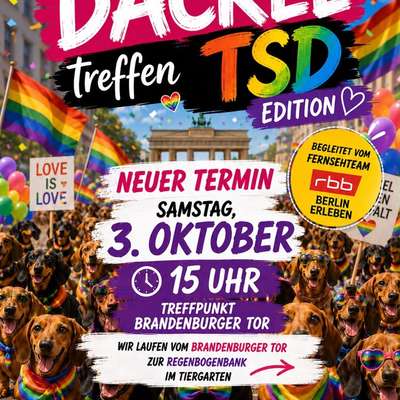 Hundetreffen-Dackeltreff Tiergarten 3.10.-Bild