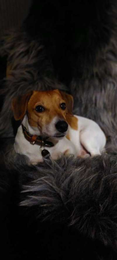 Fotochallange Nr. 57     PORTRÄT.   Beendet!!!!!!!!-Beitrag-Bild