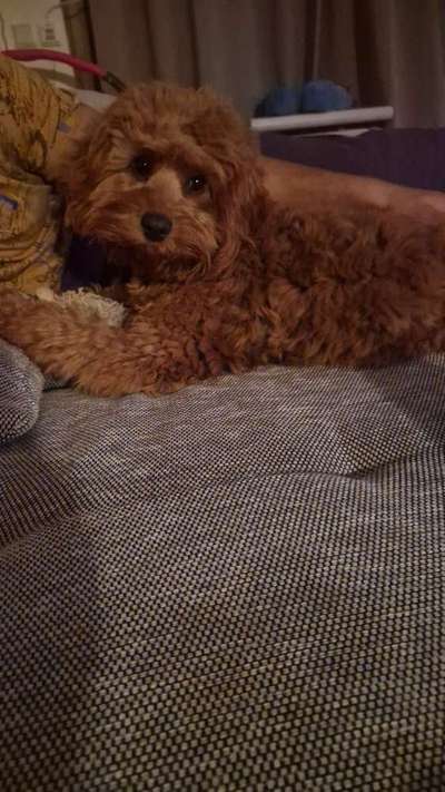 aktuelles Foto Gruppe Doodles Hamburg