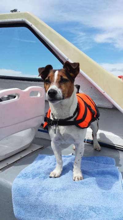 Die Dogorama Wochen Challenge: “Dein Hund im Urlaub”-Beitrag-Bild