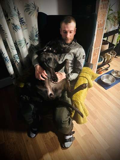 Dogorama Photo Challenge - Zeigt her eure Bäuche-Beitrag-Bild