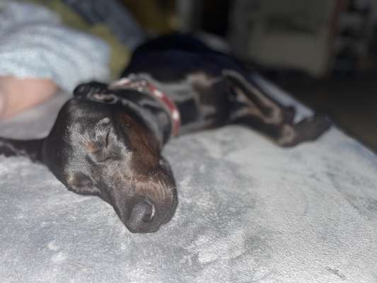 Foto Challenge Nr. 134-Beitrag-Bild