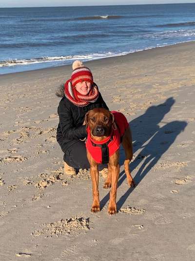 Rhodesian Ridgeback-Beitrag-Bild