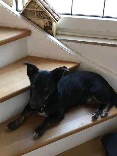 Doppelgänger gesucht !-Beitrag-Bild