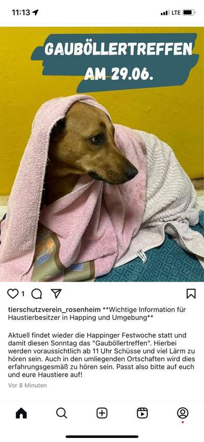 Giftköder-Gauböllertreffen-Bild
