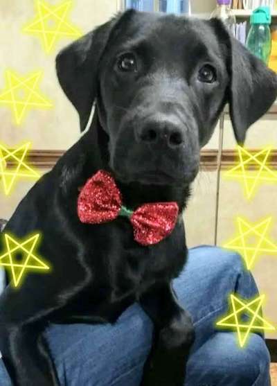 Lieblings Schnappschuss?-Beitrag-Bild