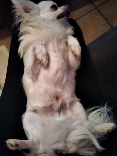 Was wird bei Euch ge..teilt ?-Beitrag-Bild