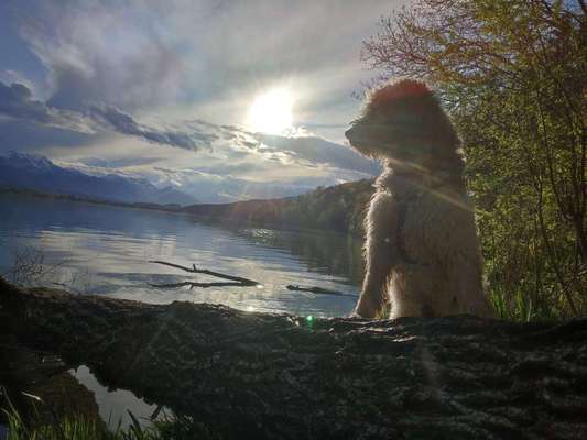 Eure schönsten Fotos mit Wasser-Beitrag-Bild