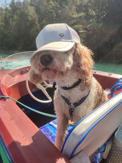 149. Foto Challenge: Wer ist hier der Boss!-Beitrag-Bild