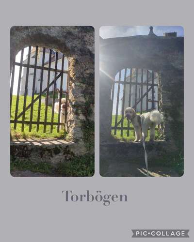 58. Foto Collagen Challenge: Torbögen-Beitrag-Bild