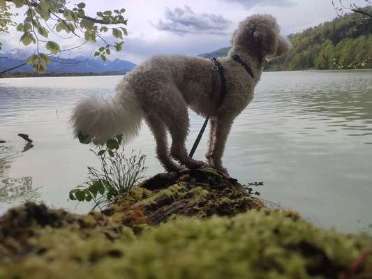 Spitznamen-Beitrag-Bild