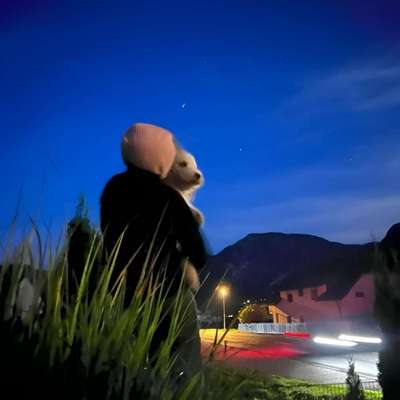 Claudia's Profilbild