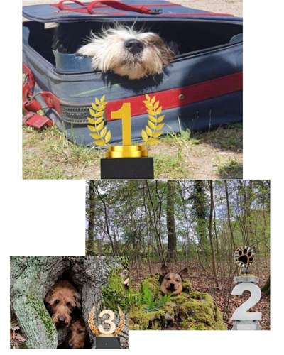 80. Foto  Challenge - Versteckt/ in einer Höhle-Beitrag-Bild