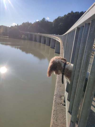 Foto Challenge Thema "Brücke"-Beitrag-Bild