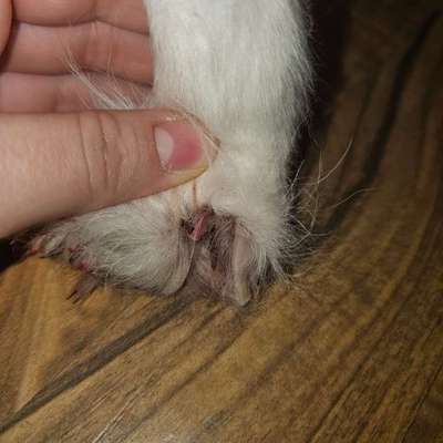 Was könnte das sein?-Beitrag-Bild