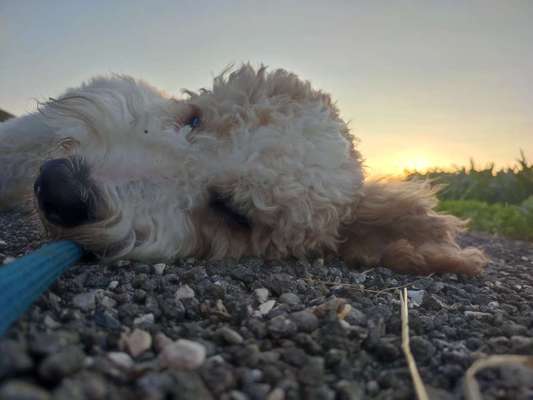 18. Farben Fotochallenge: Sonnenuntergang-Beitrag-Bild