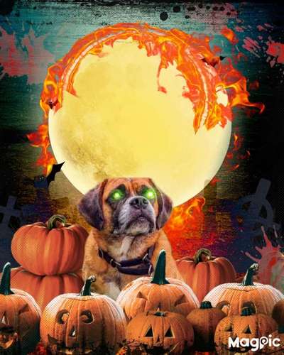 70. Handy-Fotochallenge: Zeitreisen-Beitrag-Bild