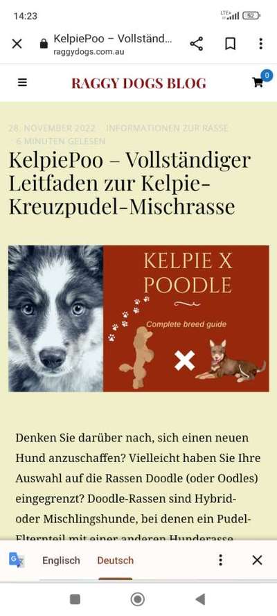 Warum müssen Mischlinge jetzt so klangvolle "Rassebezeichnungen" haben?-Beitrag-Bild