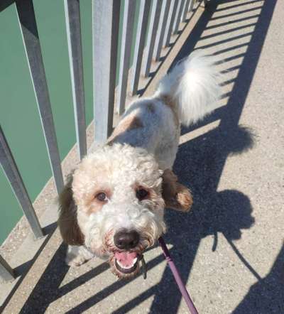 Was hat euch heute gefreut?-Beitrag-Bild