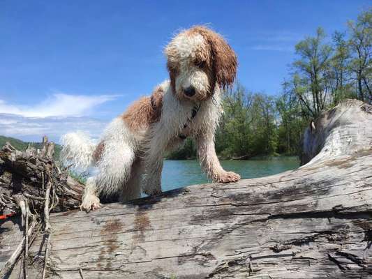 Eure schönsten Fotos mit Wasser-Beitrag-Bild