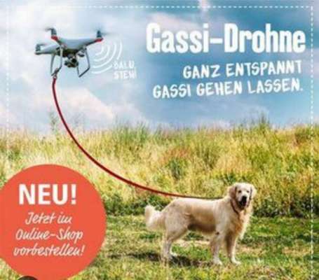 Hunde Memes-Beitrag-Bild