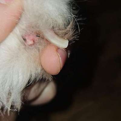 Was könnte das sein?-Beitrag-Bild