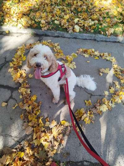 Die besten Gassifunde-Beitrag-Bild