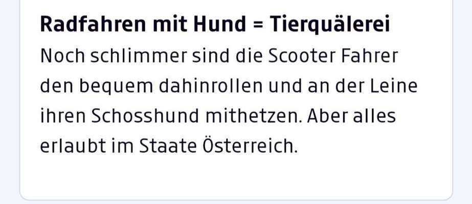 Radfahren mit Hund-Beitrag-Bild